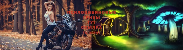 прущая мука Лабытнанги