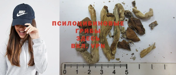 прущая мука Лабытнанги