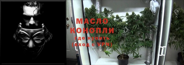 спиды Ладушкин