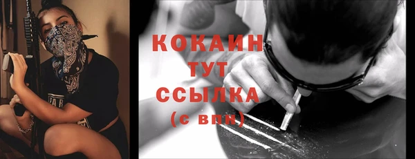 спиды Ладушкин