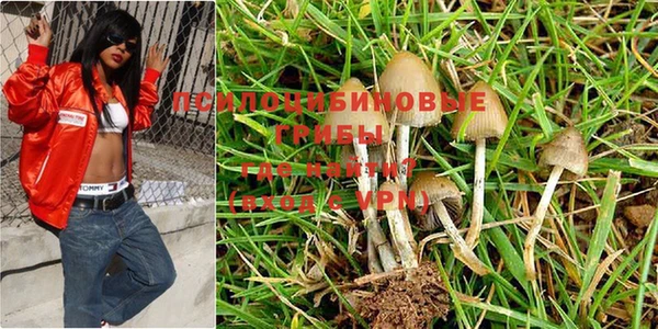 прущая мука Лабытнанги