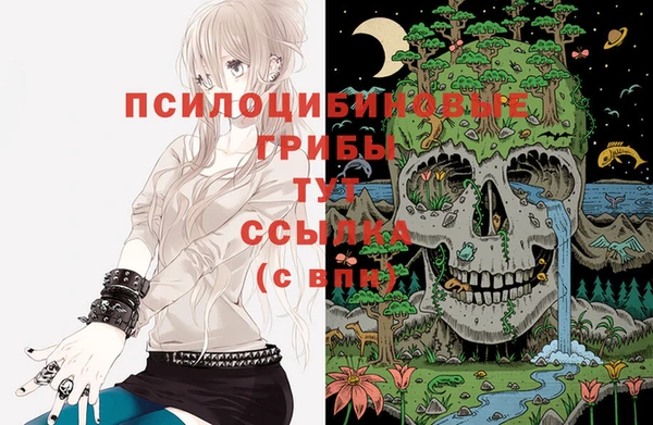 кокаин колумбия Россошь