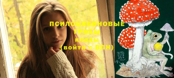 прущая мука Лабытнанги