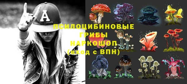 спиды Ладушкин