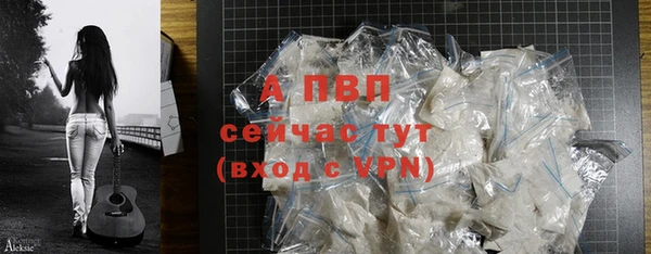 шишки Приозерск