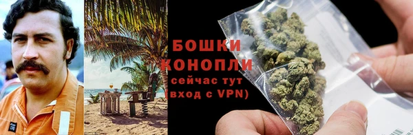 спиды Ладушкин