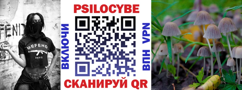 Псилоцибиновые грибы Cubensis  Вышний Волочёк 